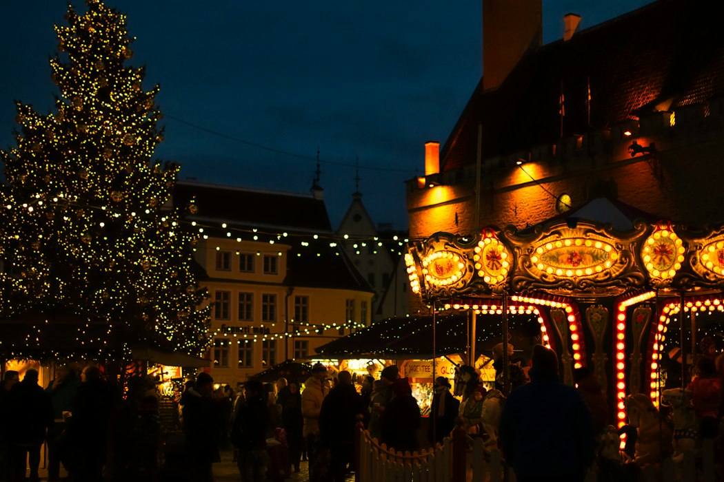 Private Vienna Christmas Walking Tour